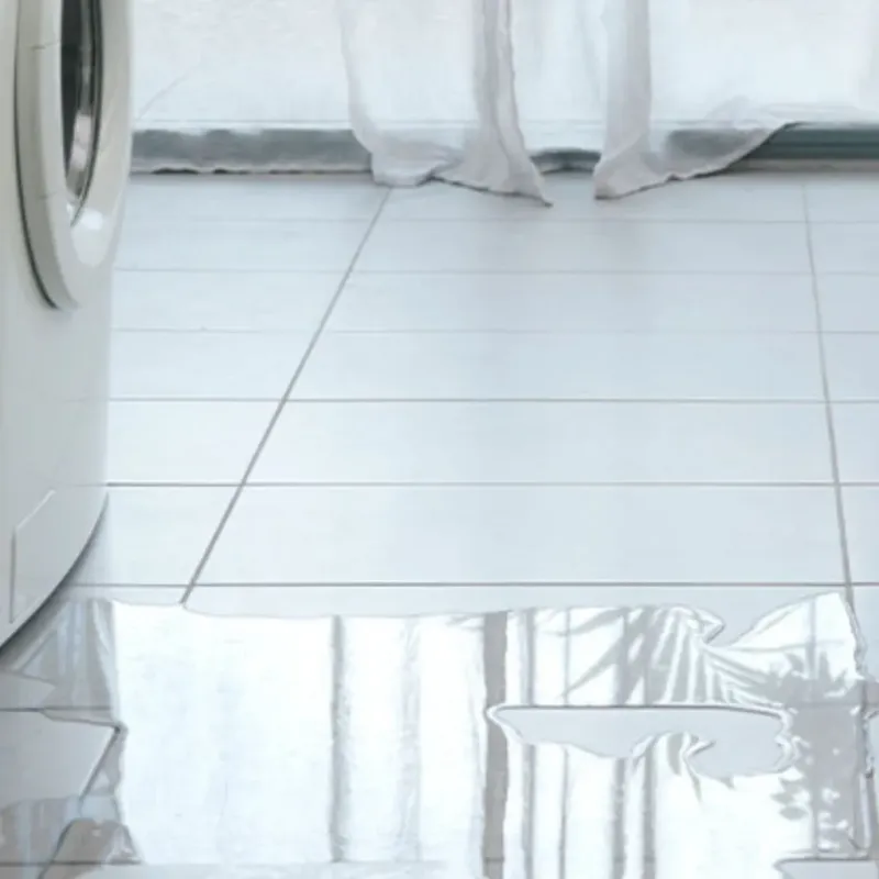 Appliance Leak Cleanup in Hope, IN