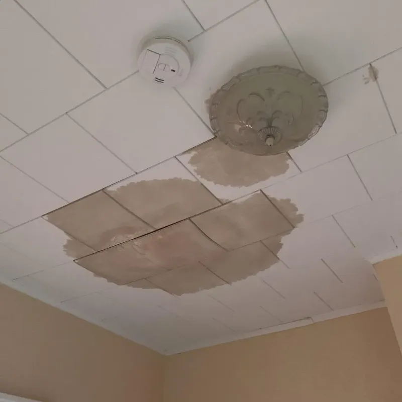 Ceiling Water Damage Repair in Hope, IN