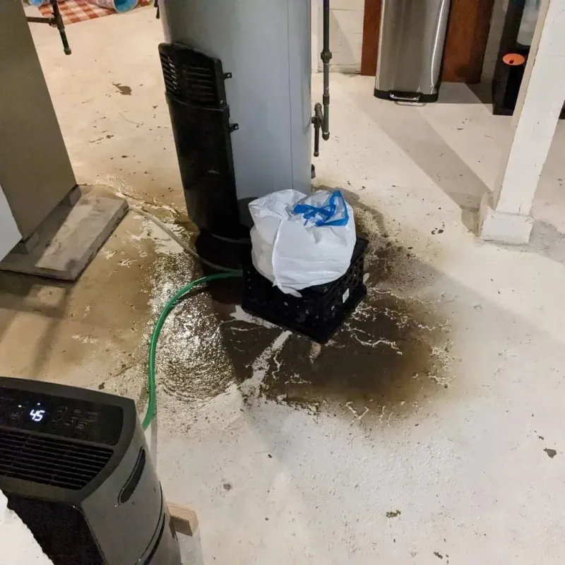 Sewage Backup Cleanup Service in Hope, IN